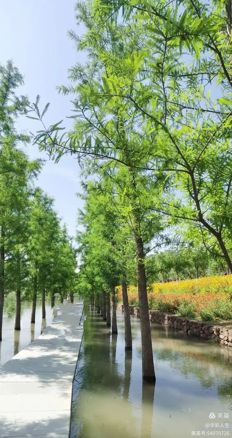 东风渠公园的如诗画卷